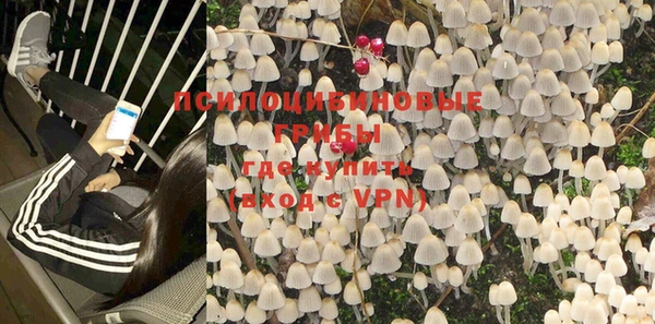 apvp Белоозёрский